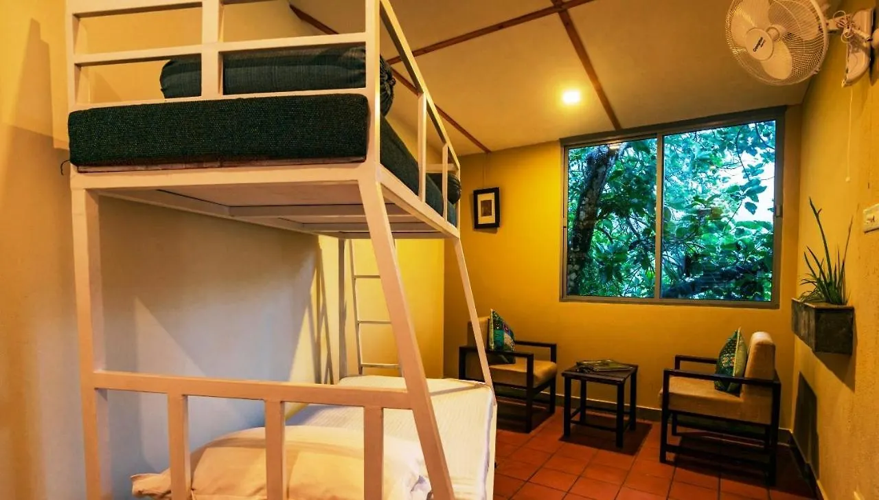 Mistletoe Homestay & Cafe Munnar Inde